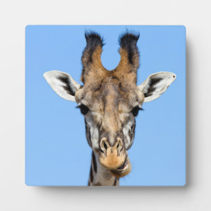 Giraffe Plaque