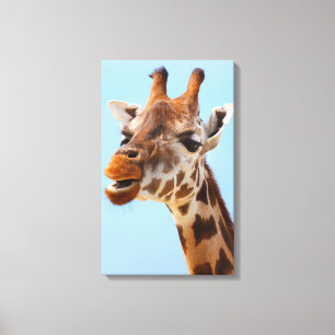 Giraffe Portrait canvas print