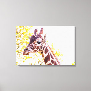 Giraffe Portrait Canvas Print