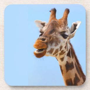 Giraffe Portrait coasters
