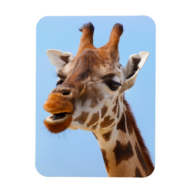 Giraffe Portrait magnet (Vertical)