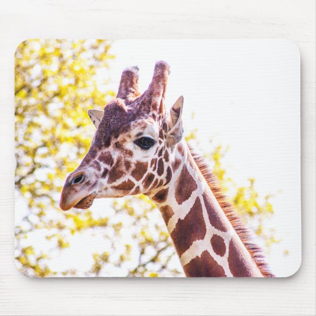 Giraffe Portrait Mouse Mat (Front)