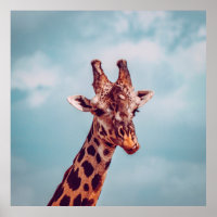 GIRAFFE PORTRAIT