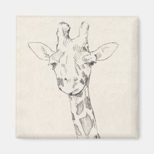 Giraffe Portrait   Sketch Magnet