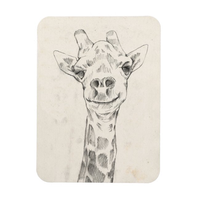 Giraffe Portrait Sketch Magnet (Vertical)
