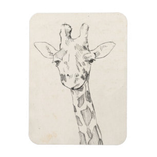 Giraffe Portrait   Sketch Magnet