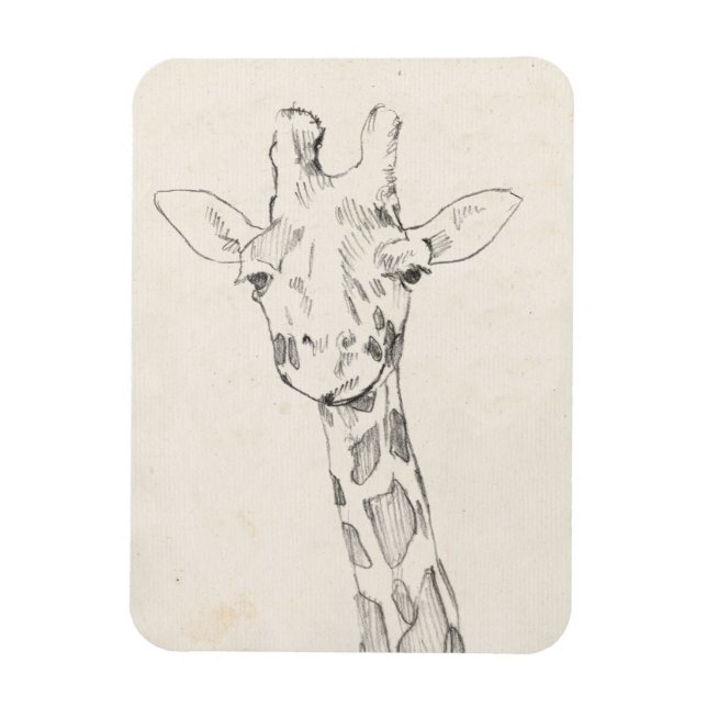 Giraffe Portrait | Sketch Magnet (Vertical)
