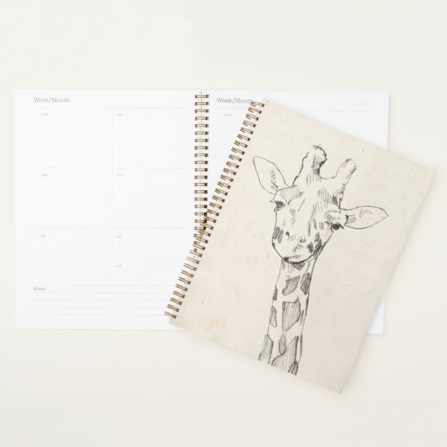 Giraffe Portrait | Sketch Planner (Display)