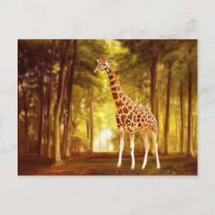 Giraffe Postcard