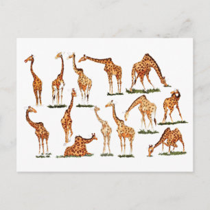 "GIRAFFE" POSTCARD