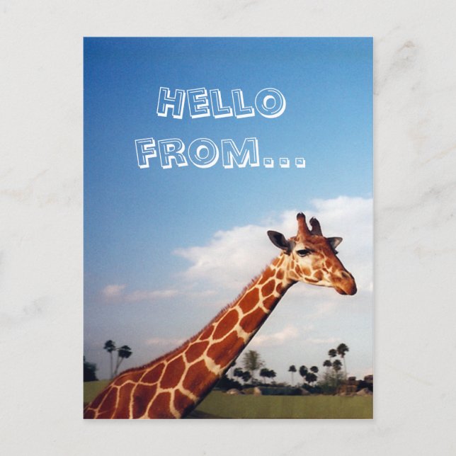 Giraffe Postcard (Front)