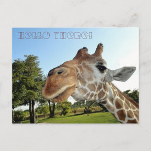 Giraffe Postcard / Hello there!