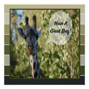 Giraffe  poster