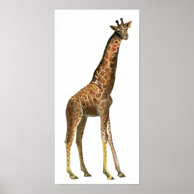 Giraffe Poster (Front)