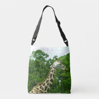 Giraffe Profile Among the Trees