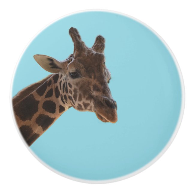 Giraffe pull knob (Front)