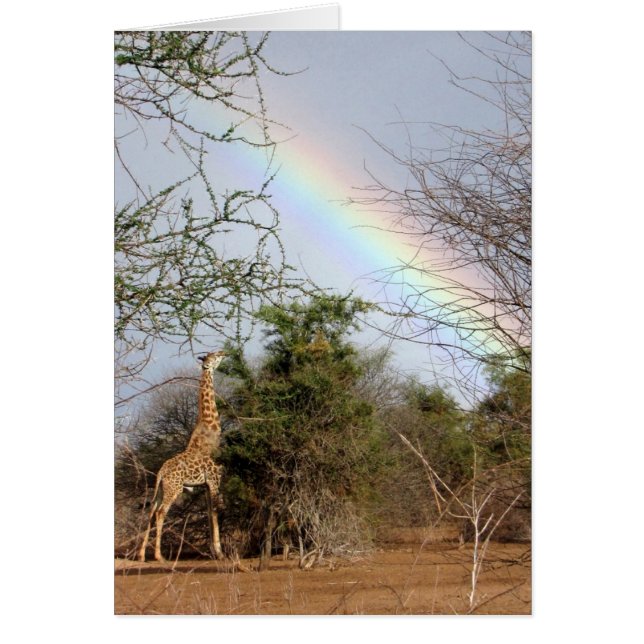 Giraffe & Rainbow Card (Front)