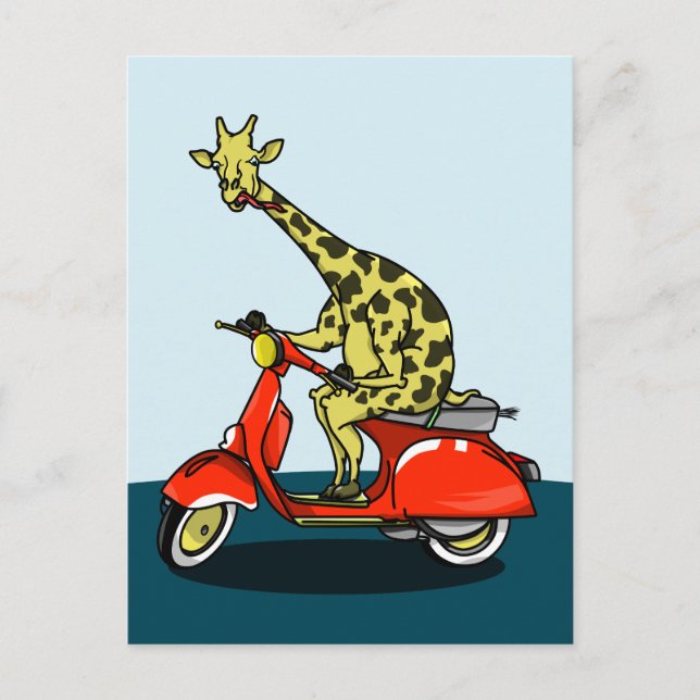 Giraffe riding a motorcycle motorbike postcard (Front)