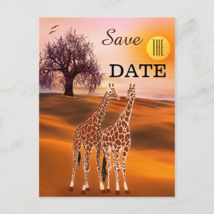 Giraffe Safari Zoo Save the Date Postcard