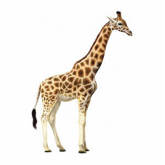 Giraffe Sculpture Standing Photo Sculpture