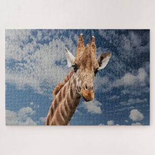 Giraffe selfie jigsaw puzzle