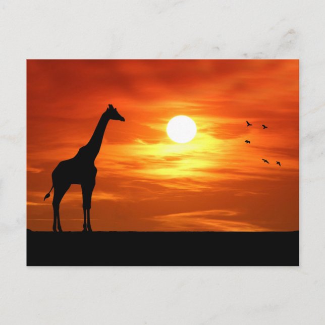 Giraffe Silhouette at Sunset Postcard (Front)