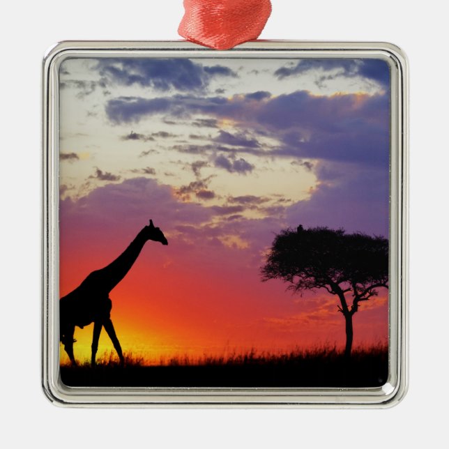 Giraffe silhouetted at sunrise, Giraffa Metal Tree Decoration (Front)
