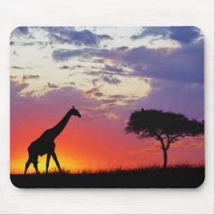 Giraffe silhouetted at sunrise, Giraffa Mouse Mat
