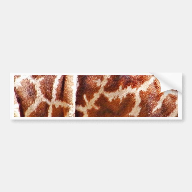 Giraffe Skin_ Bumper Sticker (Front)