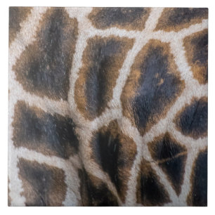 Giraffe skin pattern up close ceramic tile
