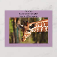 Giraffe Social Distancing Six Feet by Funnycomb
