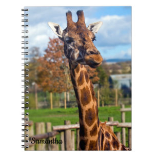 Giraffe Spiral notebook