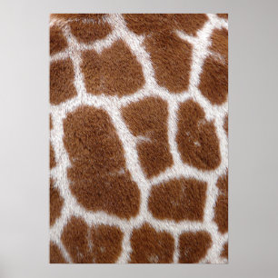 Giraffe Spots Poster