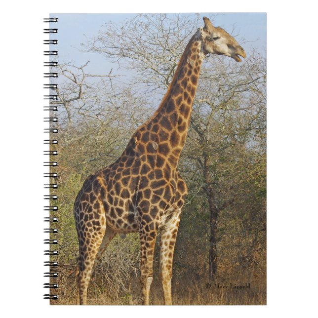 Giraffe Standing Tall Notebook (Front)