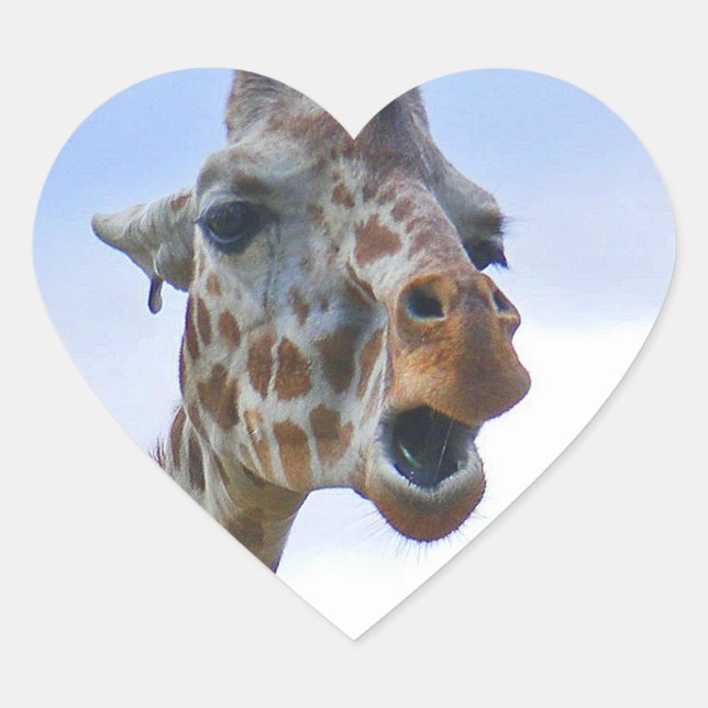 Giraffe Sticker (Front)