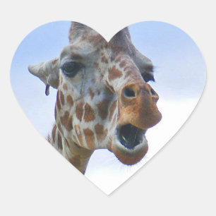 Giraffe Sticker