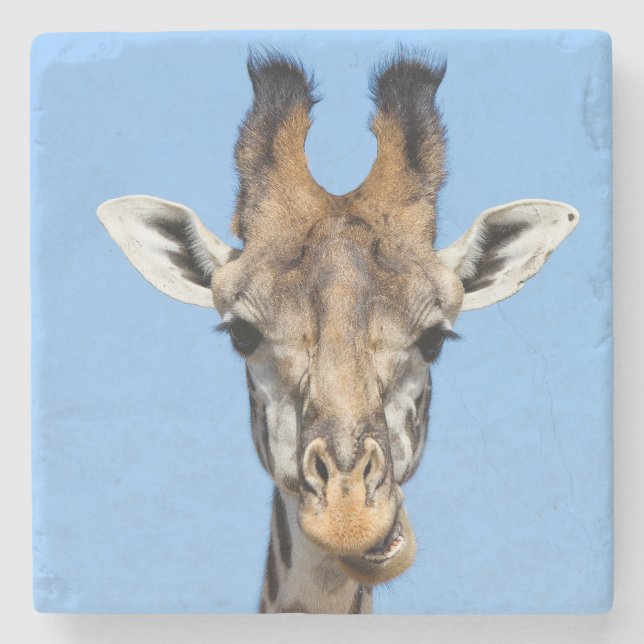 Giraffe Stone Coaster (Front)