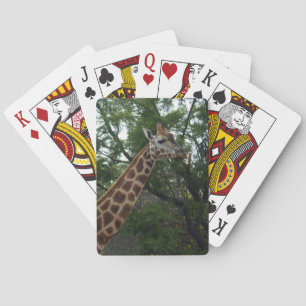 Giraffe Strolling Through Parklands, Playing Cards