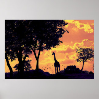 giraffe sunset poster