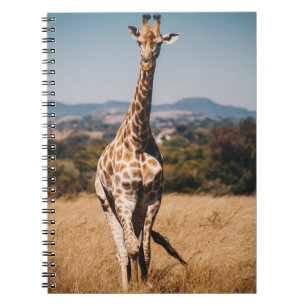 GIRAFFE SURROUNDED BY BROWN GRASS NOTEBOOK
