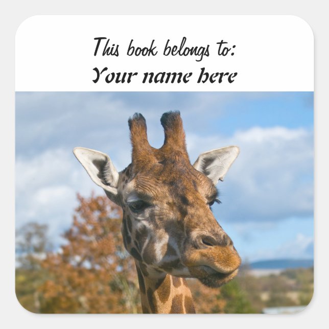 Giraffe "This book belongs to" Sticker (Front)
