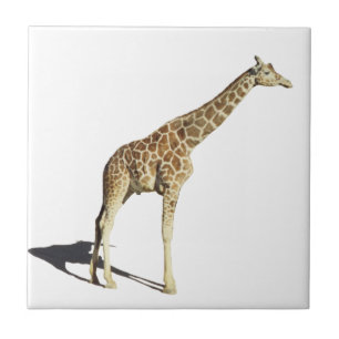 Giraffe Tile