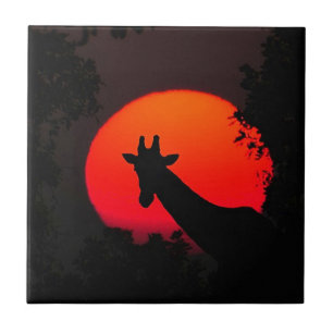 Giraffe Tile
