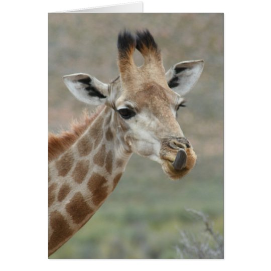 Giraffe Tongue Greeting Card