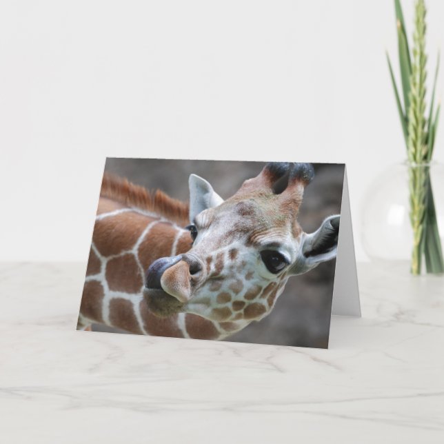 Giraffe Tongue Greeting Card (Front)