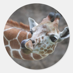 Giraffe Tongue Stickers