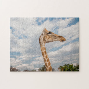 Giraffe Up Close Jigsaw Puzzle