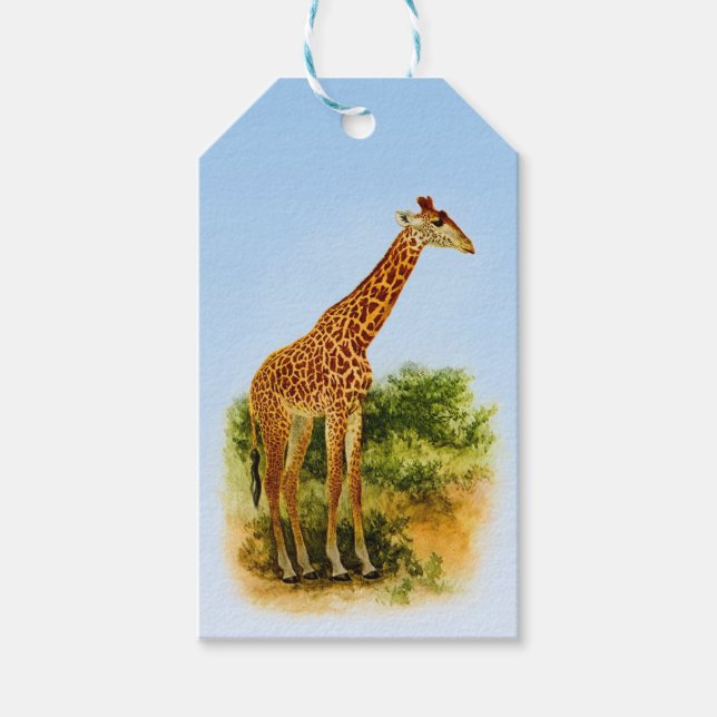 Giraffe Vintage 1912 Gift Tags (Front)