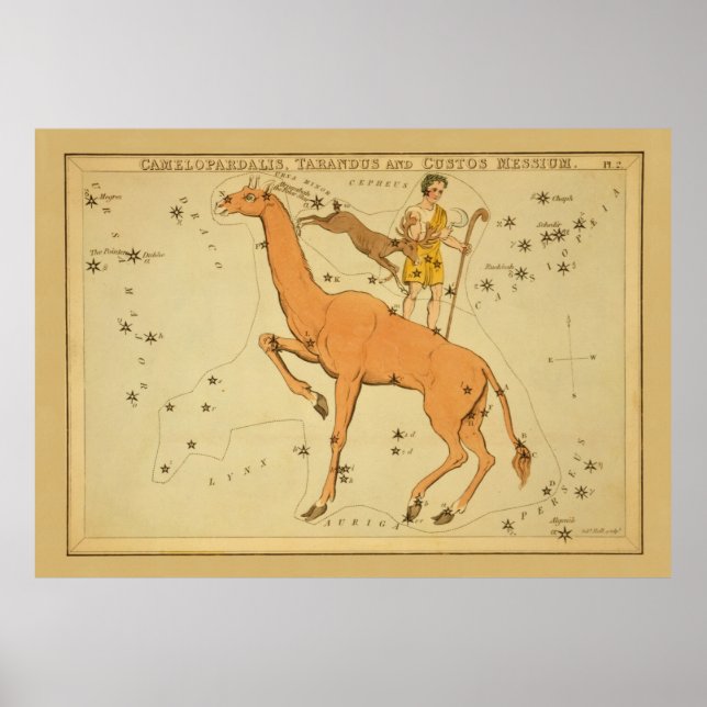Giraffe - Vintage Astronomical Star Chart Image (Front)