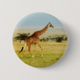 Giraffe walking Masai Mara Plains, Kenya button